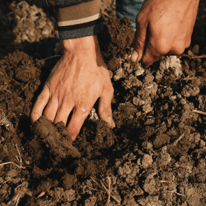 Faith & Agriculture Webinar: South Dakota Soil Health