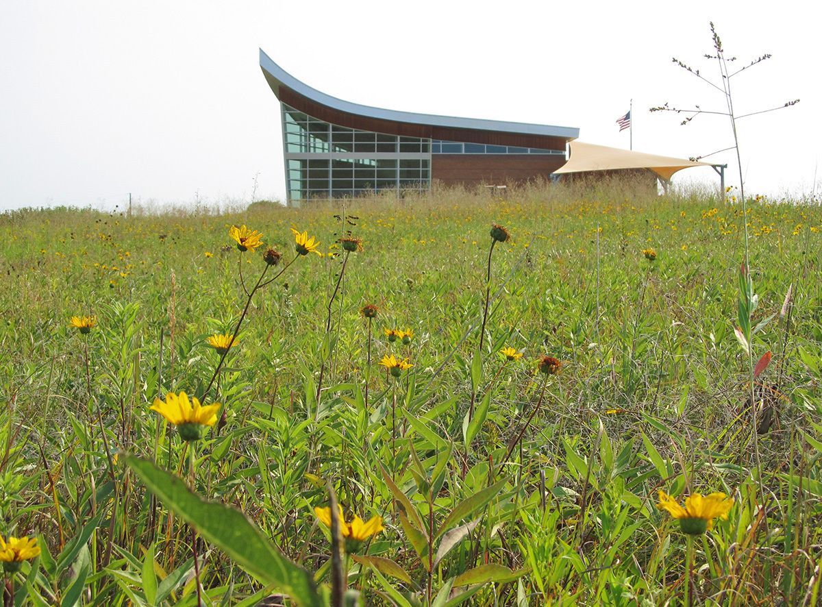 The park visitor center seen across a field of yellow flowers and prairie grasses