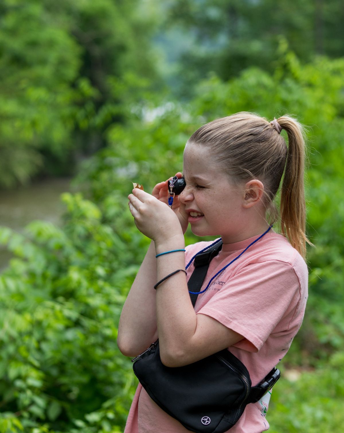 Nature In Your Backyard