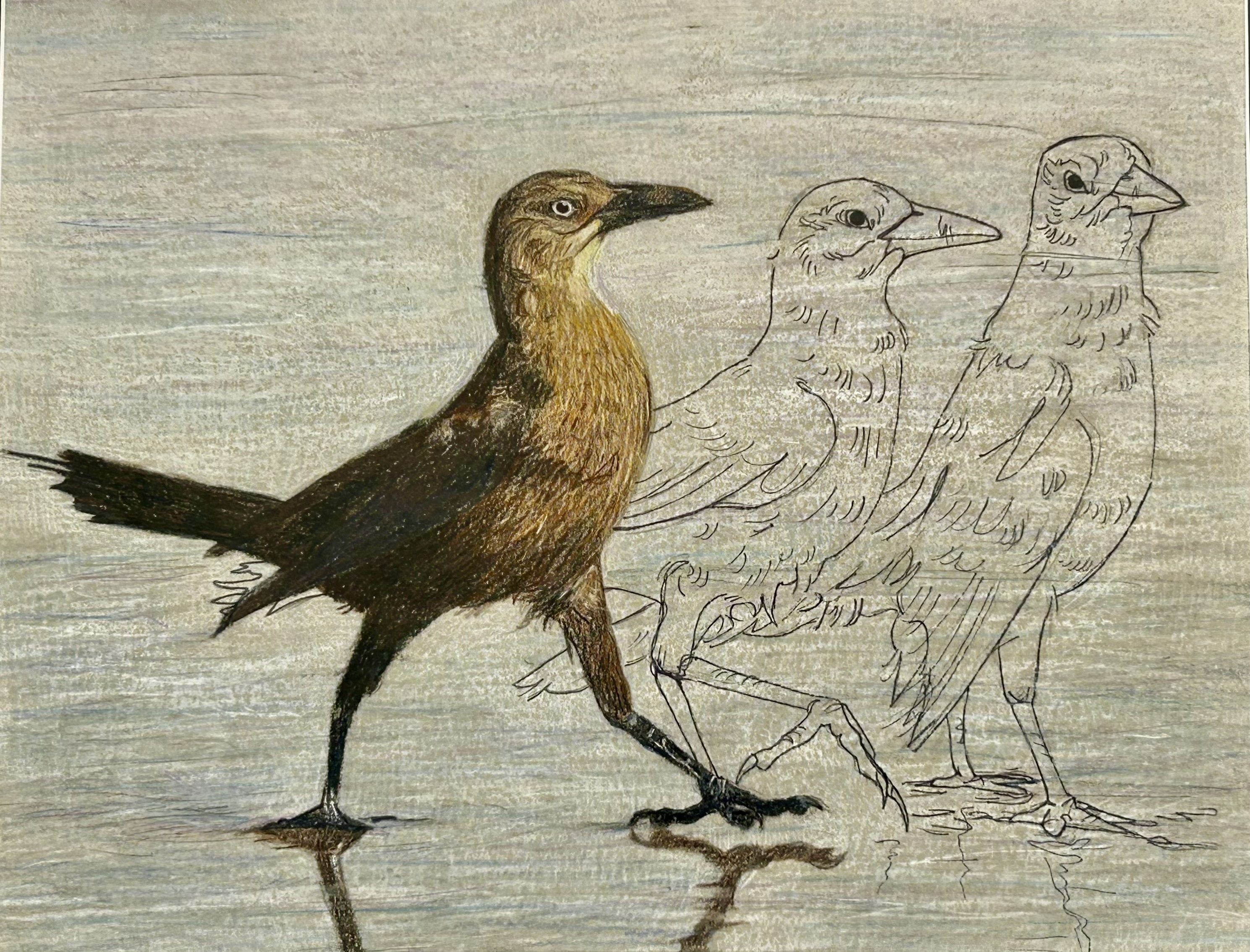 Sidney W., 9th grade, realism