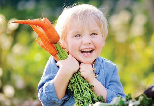 Harvest the Joy of Giving