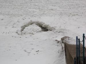 Daily Prayer February 3