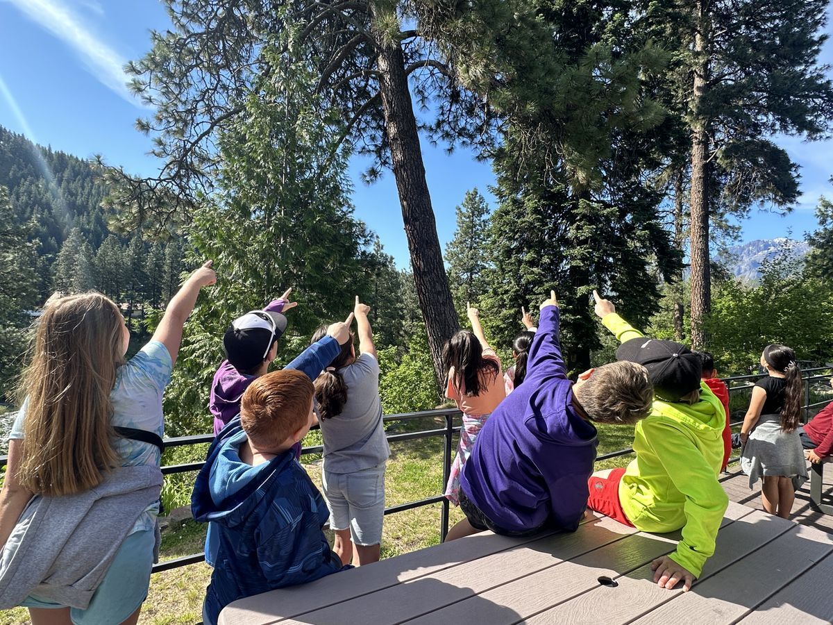 A group of students pointing at a snag that is the home of a Northern Flicker.