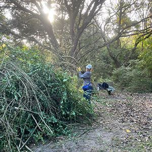 High Island Sanctuary Workdays