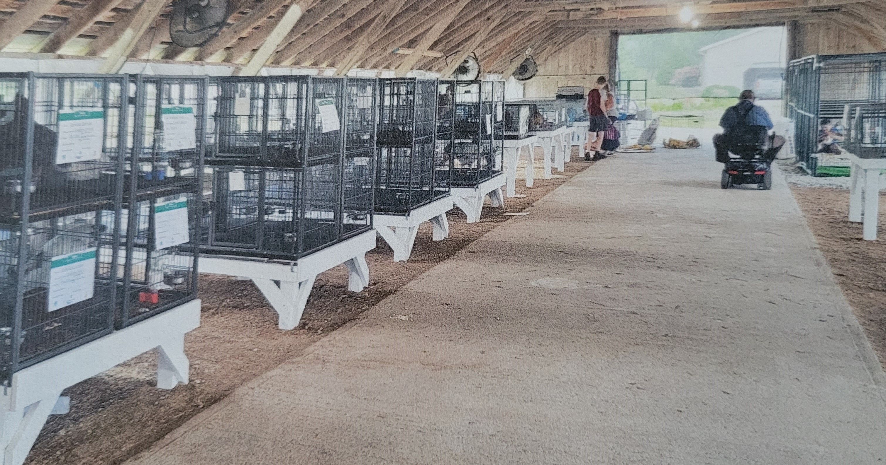 Small animal cages - Union County Fairground