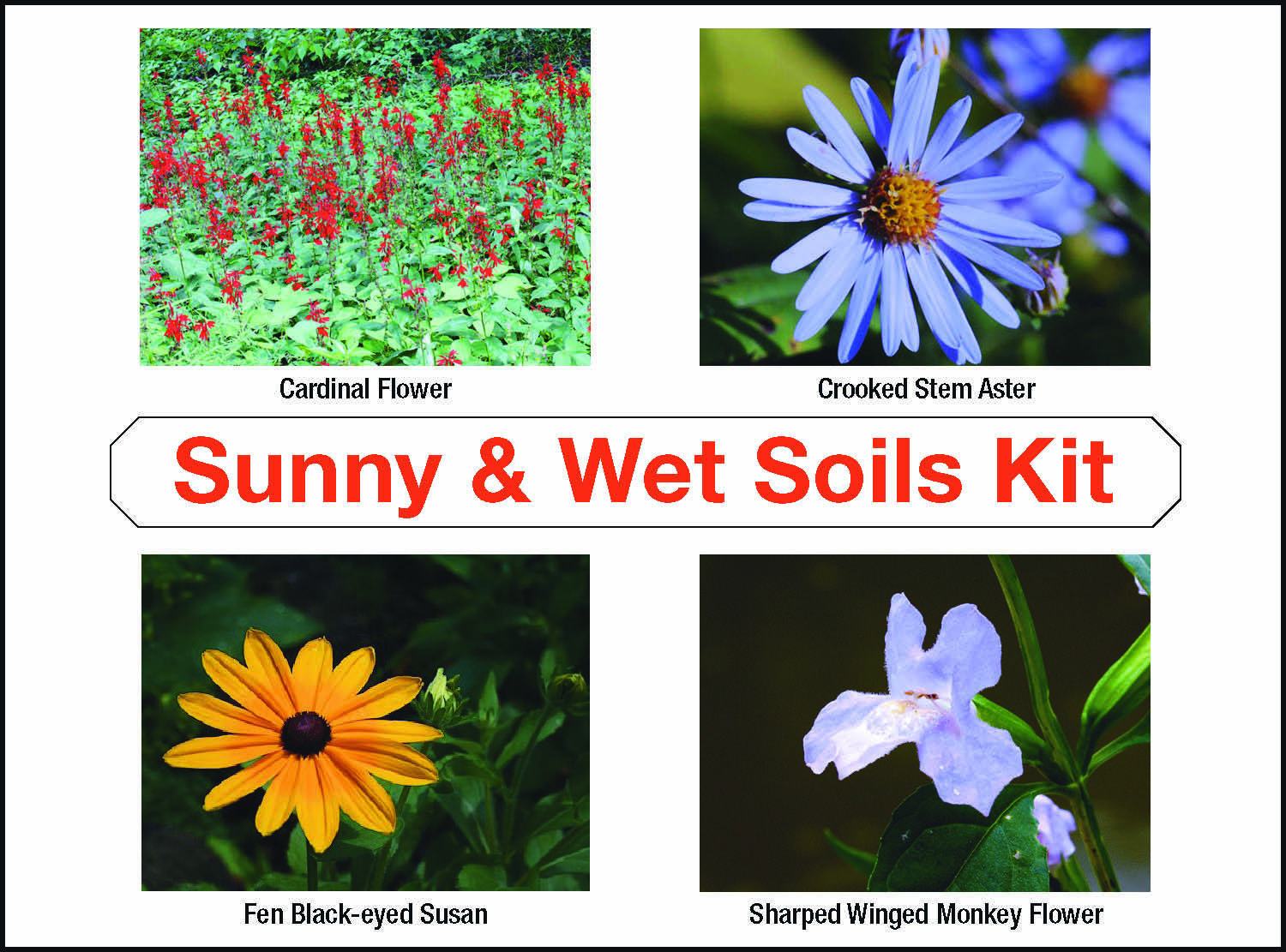 Sunny and Wet Soils Kit