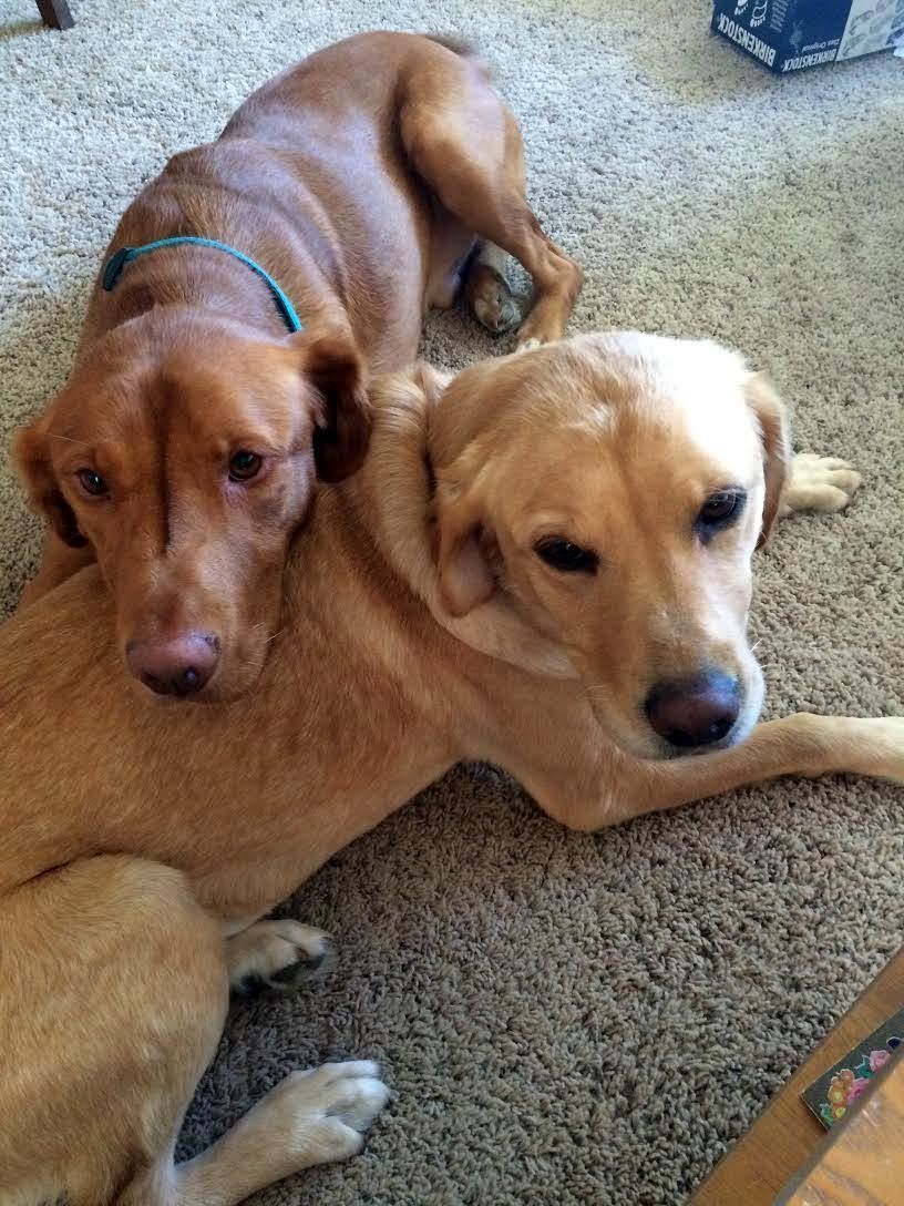 Rosco and Daisy