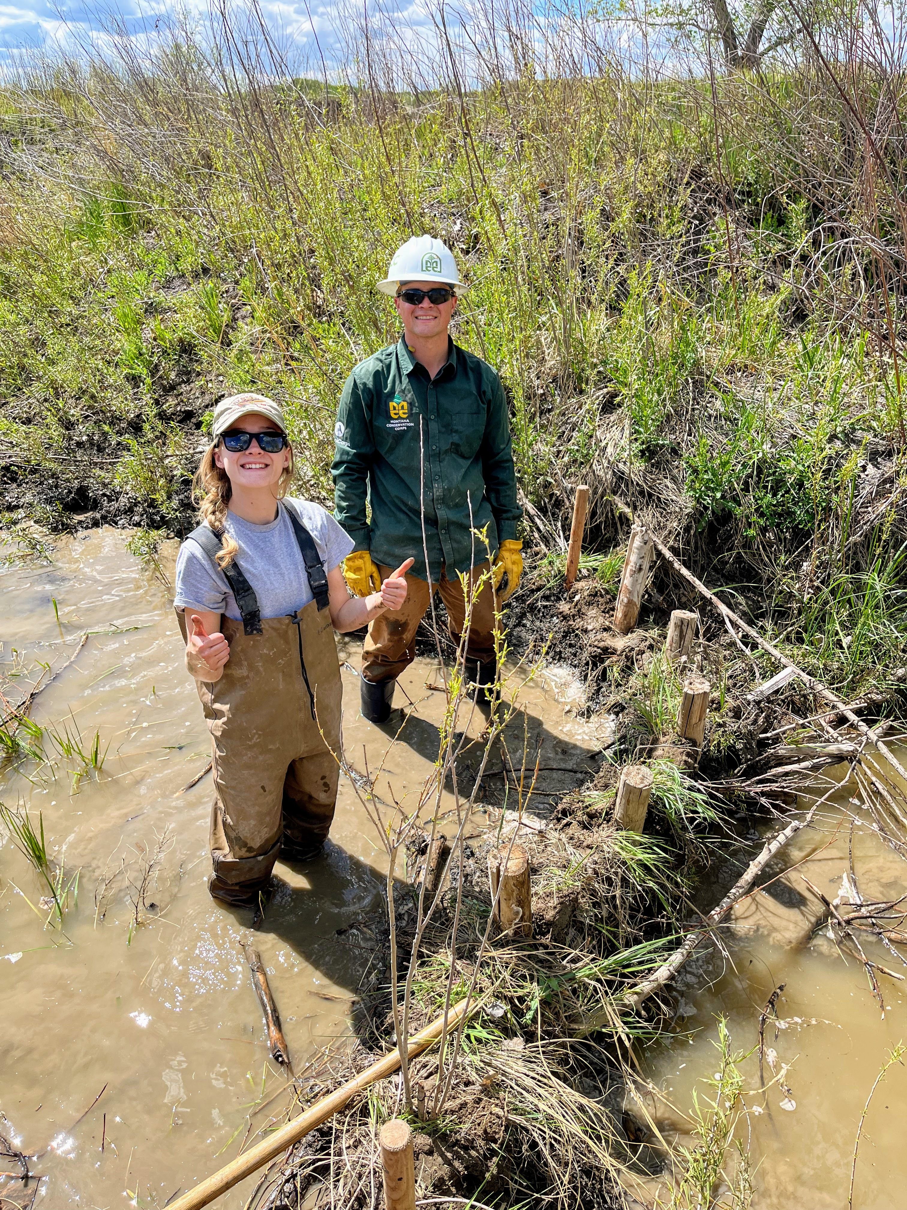 Two people stand in a muddy stream next to a beaver dam analog they have built. The beaver dam analog consists of several posts mounted upright in the water, with reeds and sticks woven between the posts.