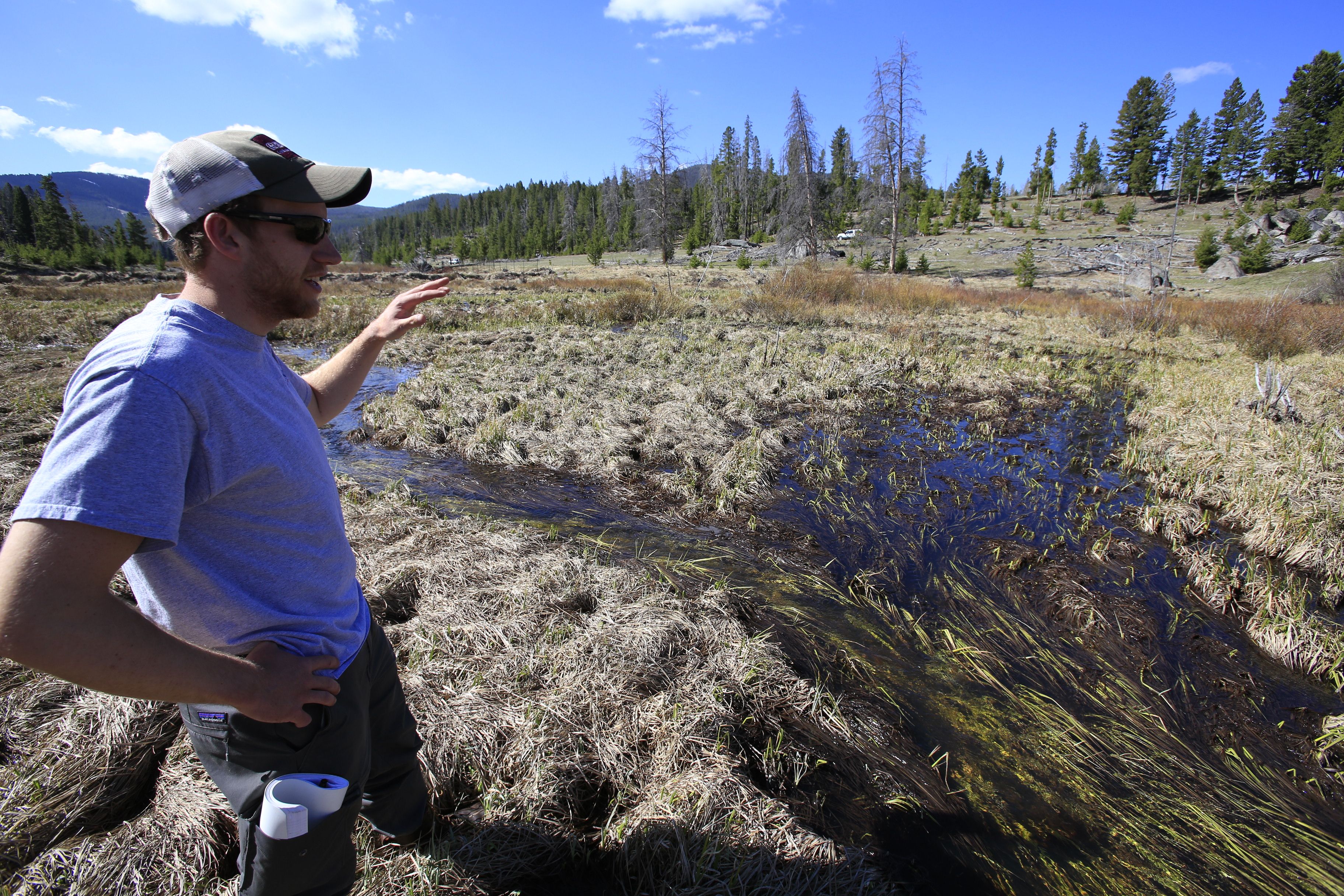 Evan stands overlooking a beaver site