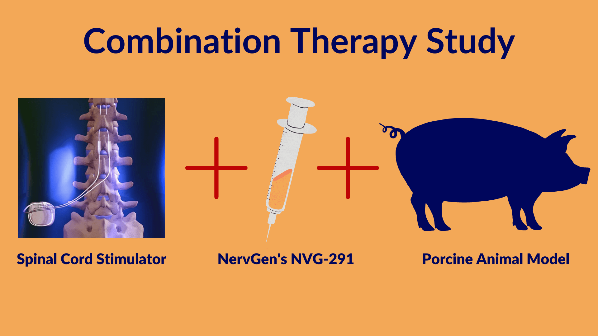 Graphic with spinal stimulation illustration, a syringe and a pig