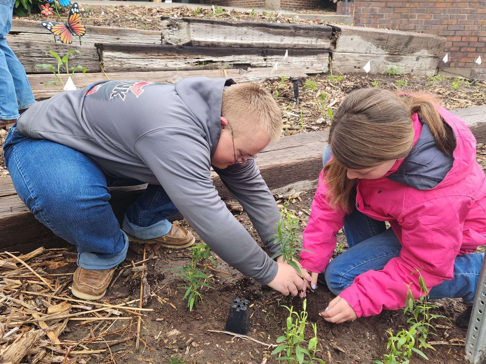 A young boy wearing a gray sweatshirt and a young girl wearing a bright pink sweatshirt kneel side by side in a raised bed planting flowers together
