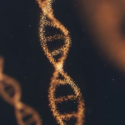 How One Scientist Is Helping Us Understand a Rare Lymphatic Disease
