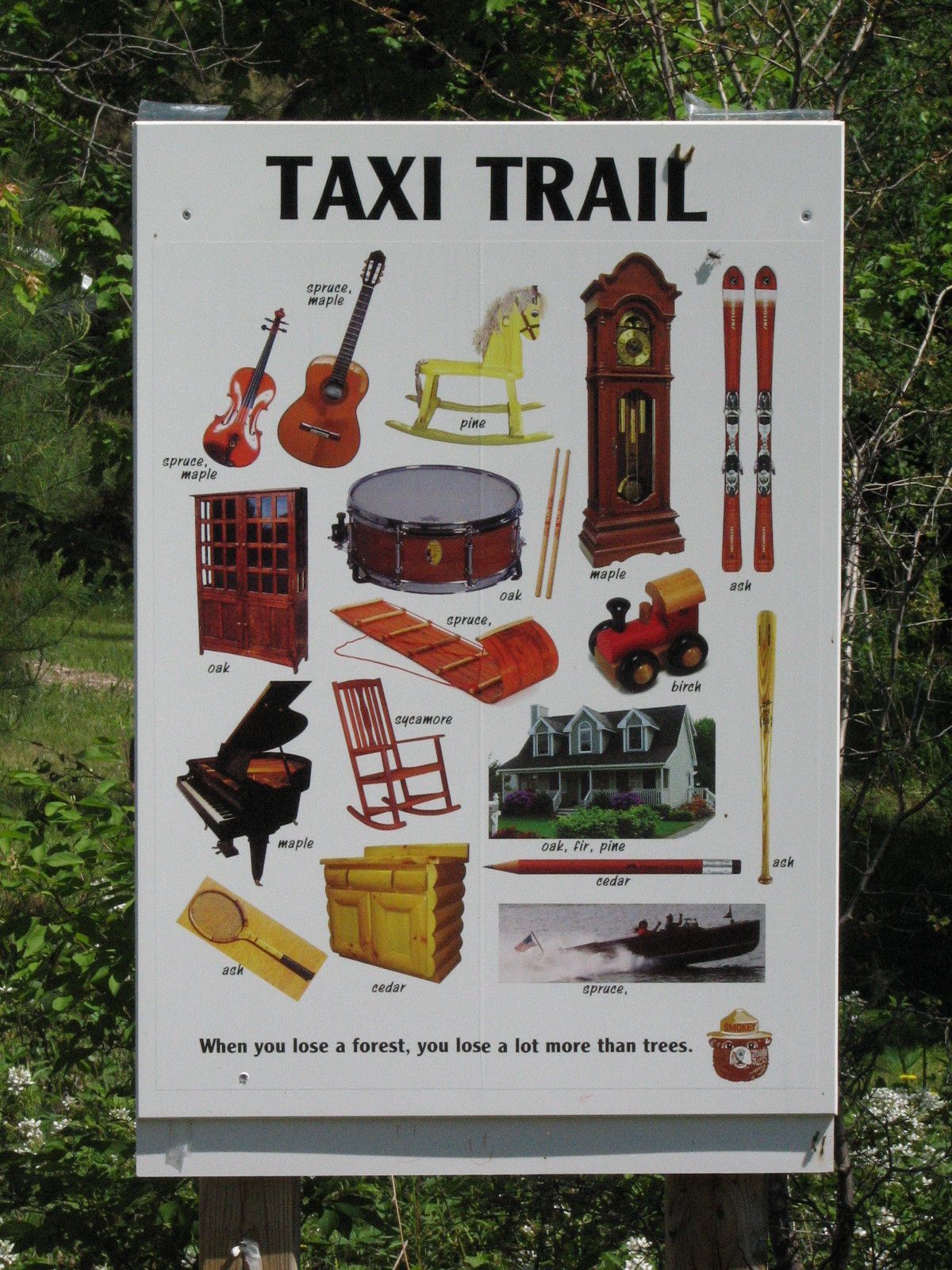 The Taxi Trail