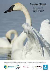 Swan News No. 13_October 2017 (pdf)