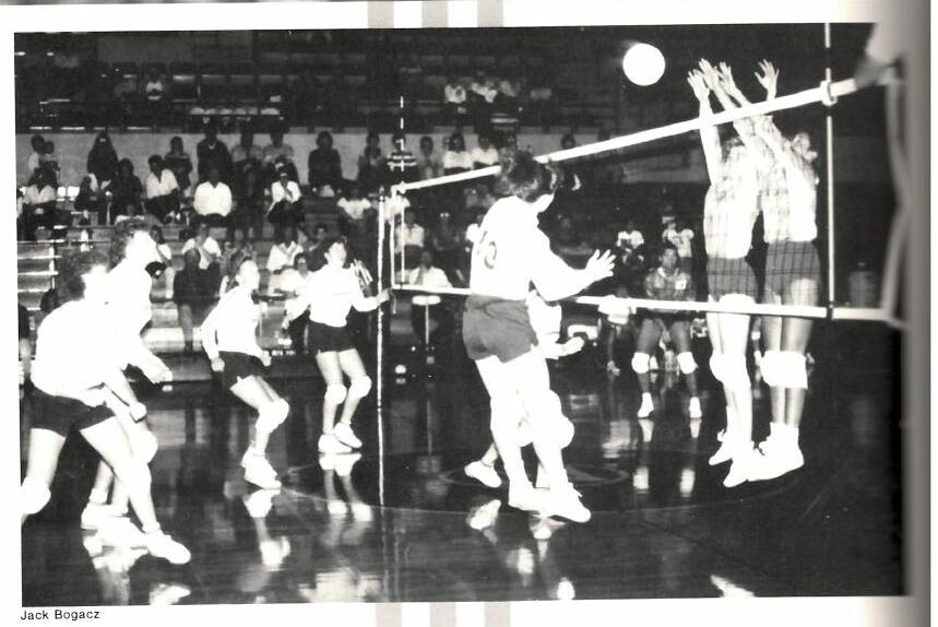 Skylights Volleyball Alumni Match