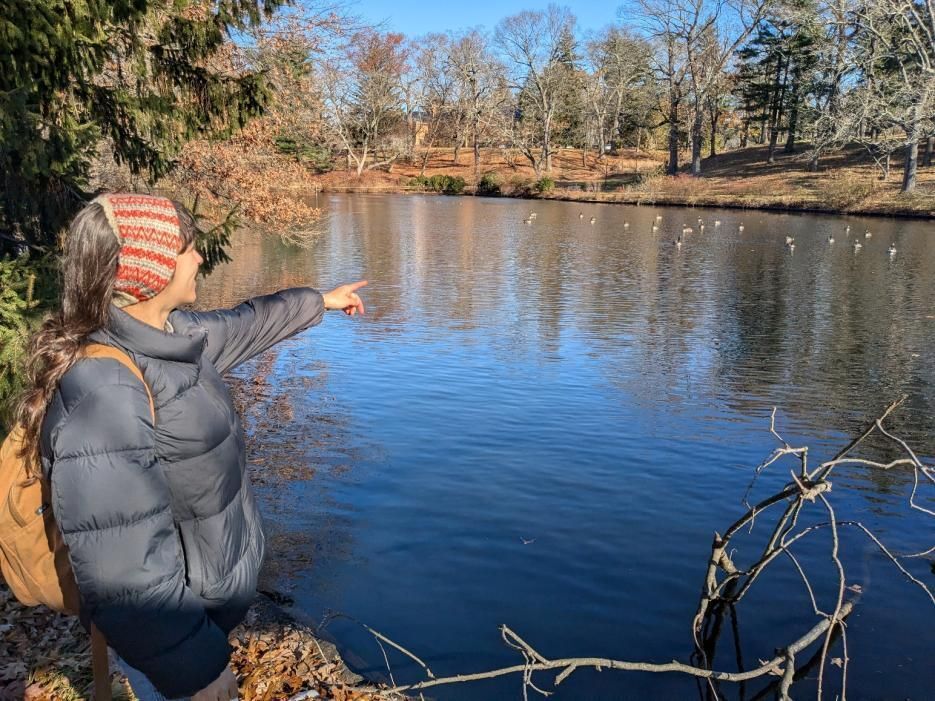 Audubon Society of Rhode Island Citizen Science Opportunities Environment Getting Involved