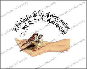 IN HIS HAND (Job, Encouragement, Praise/Music)