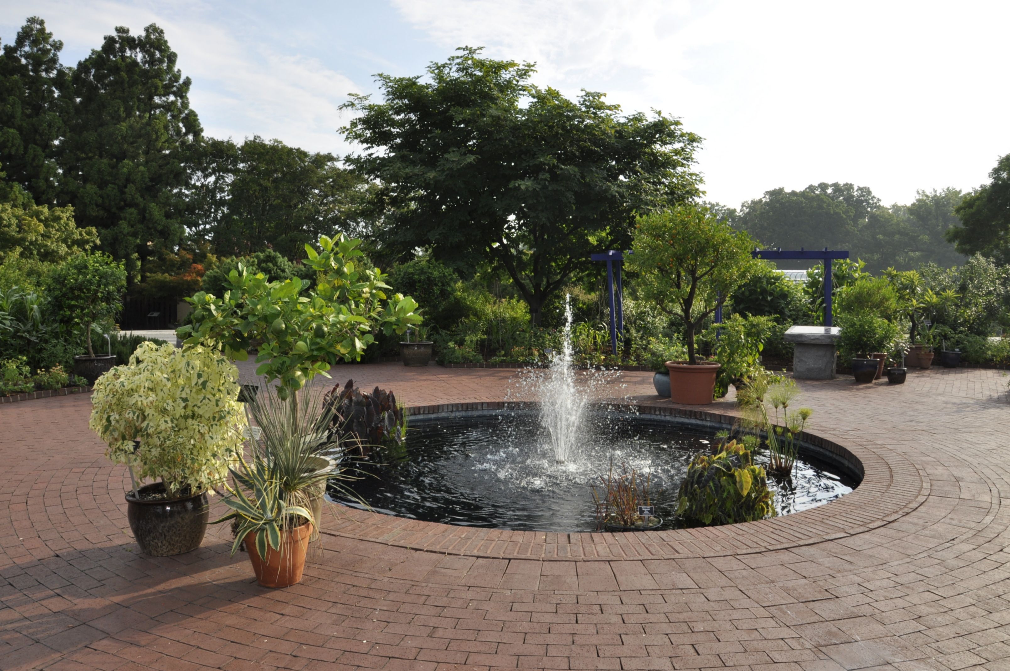 Entrance Garden Fountain