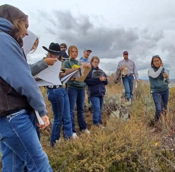 A group of people in outdoor clothing conducting a field study in a grassy area under a cloudy sky.