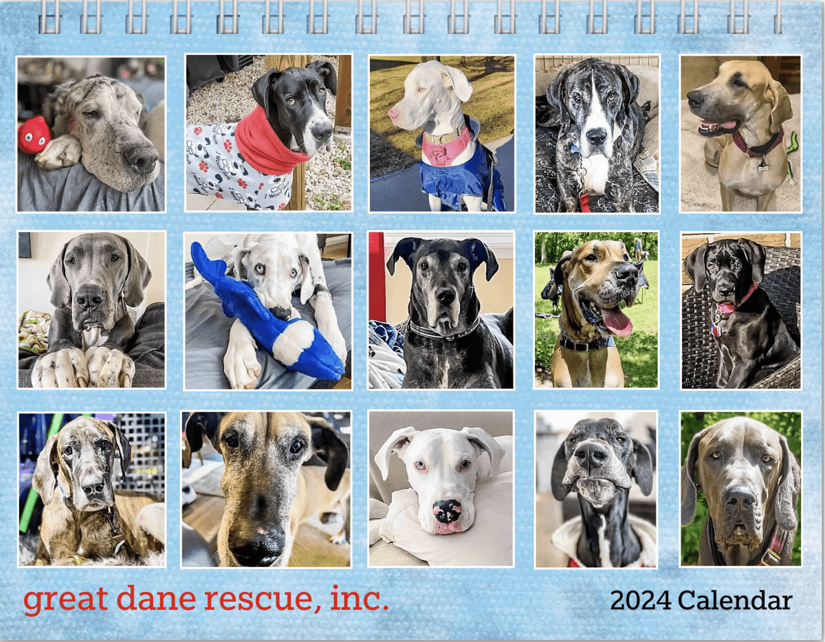 2024 GDRI Calendar Help Our Cause Great Dane Rescue