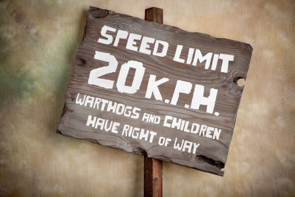 H17249 - Carved Rustic Sandblasted Reclaimed Wood "Speed Limit 20 KPH / Warthogs and Children Have the Right-of-Way" Traffic Sign 