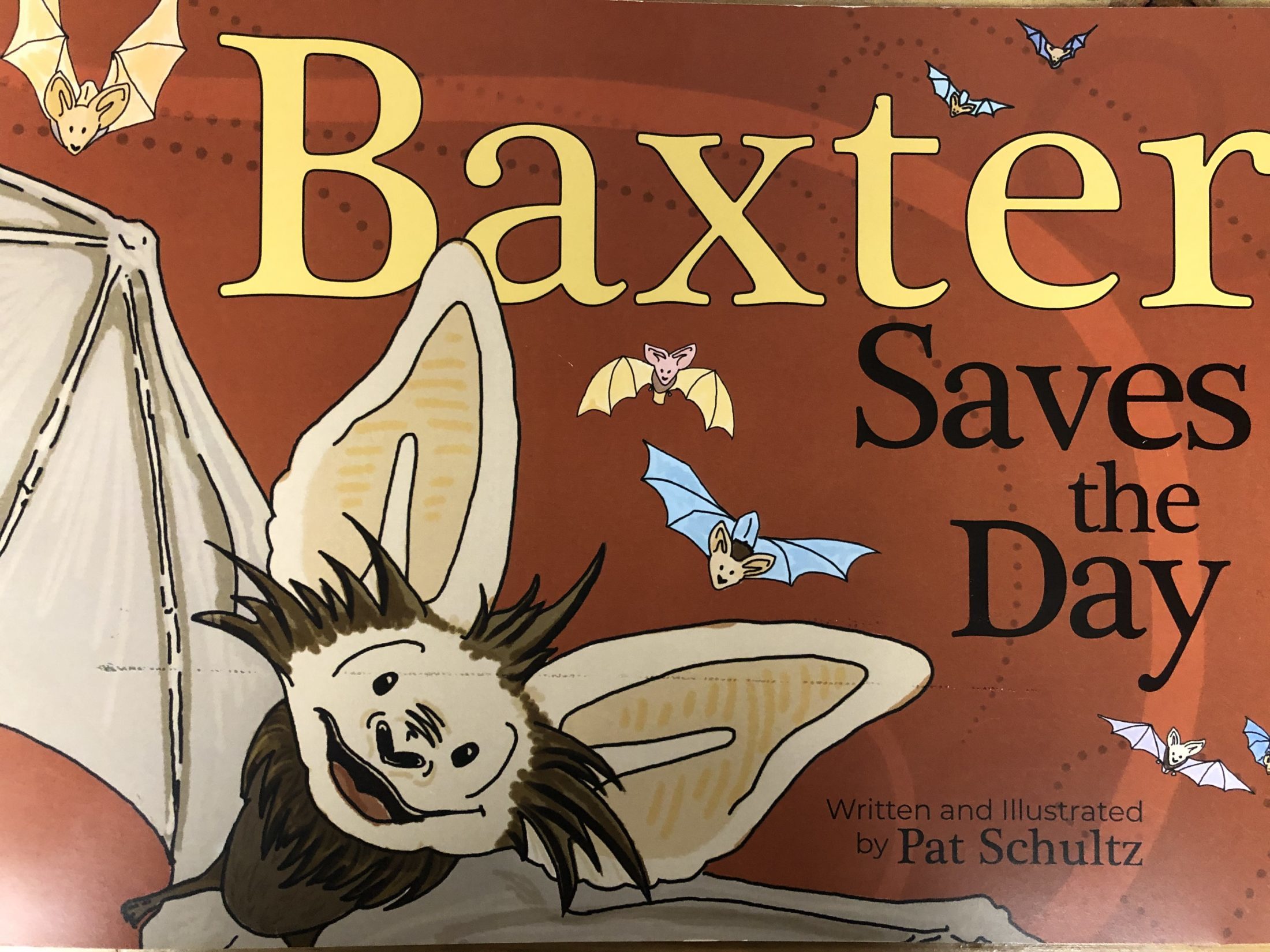 Baxter Saves the Day