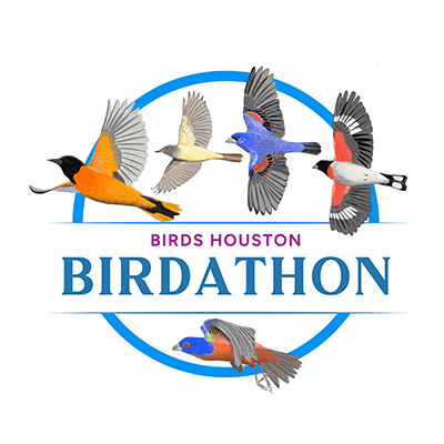 Event Sponsorship and Corporate Partnerships