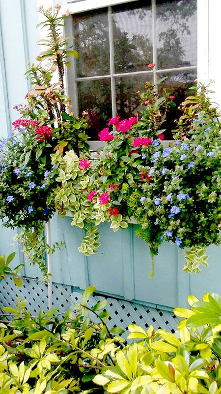 Cottage Flower Box