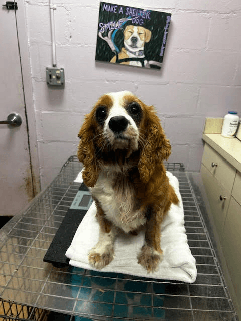 URGENT: Riley
