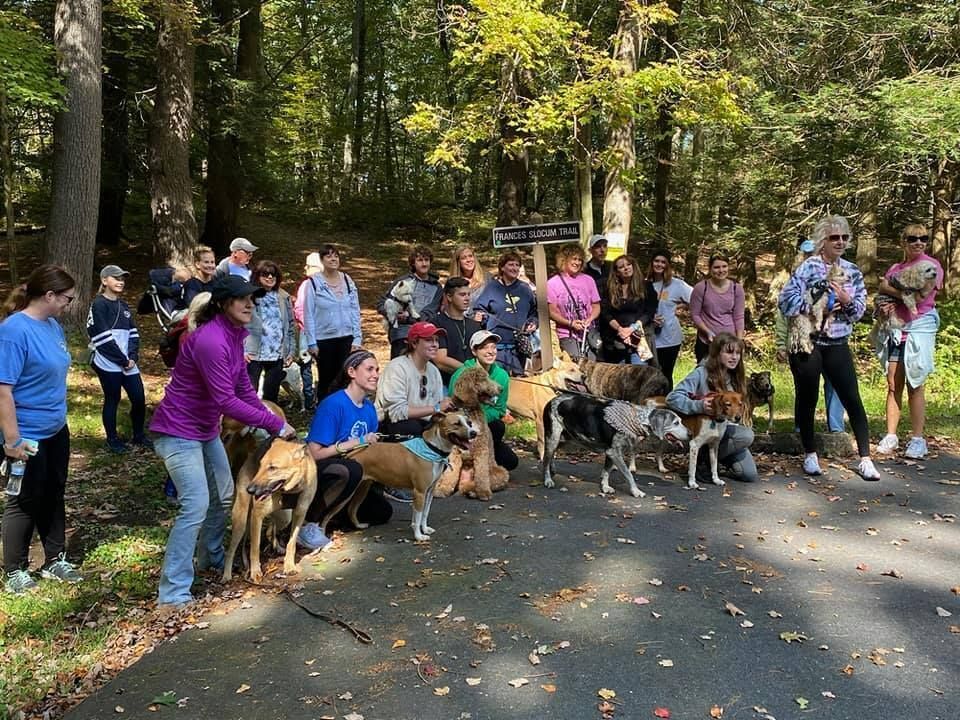 33rd Annual Walk for the Animals!