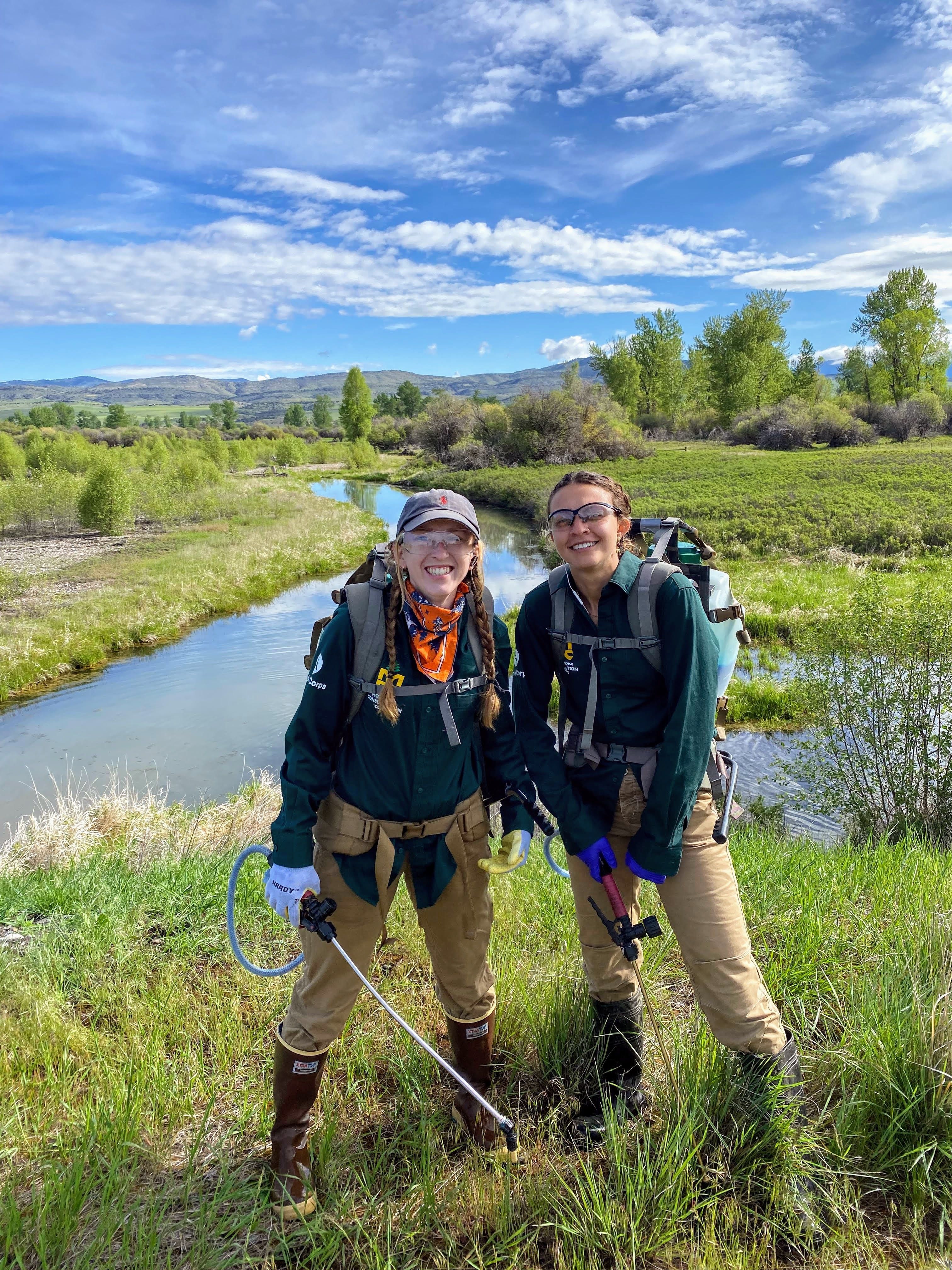 The Silver Crew Tackles Noxious Weeds with the Gallatin Valley Land Trust