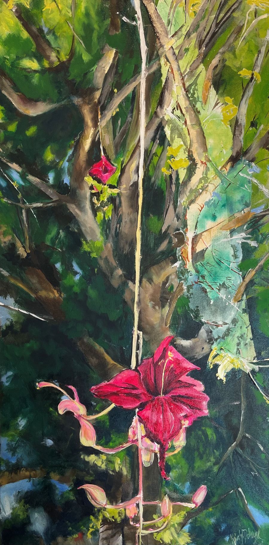 Kimberly Beltrame
