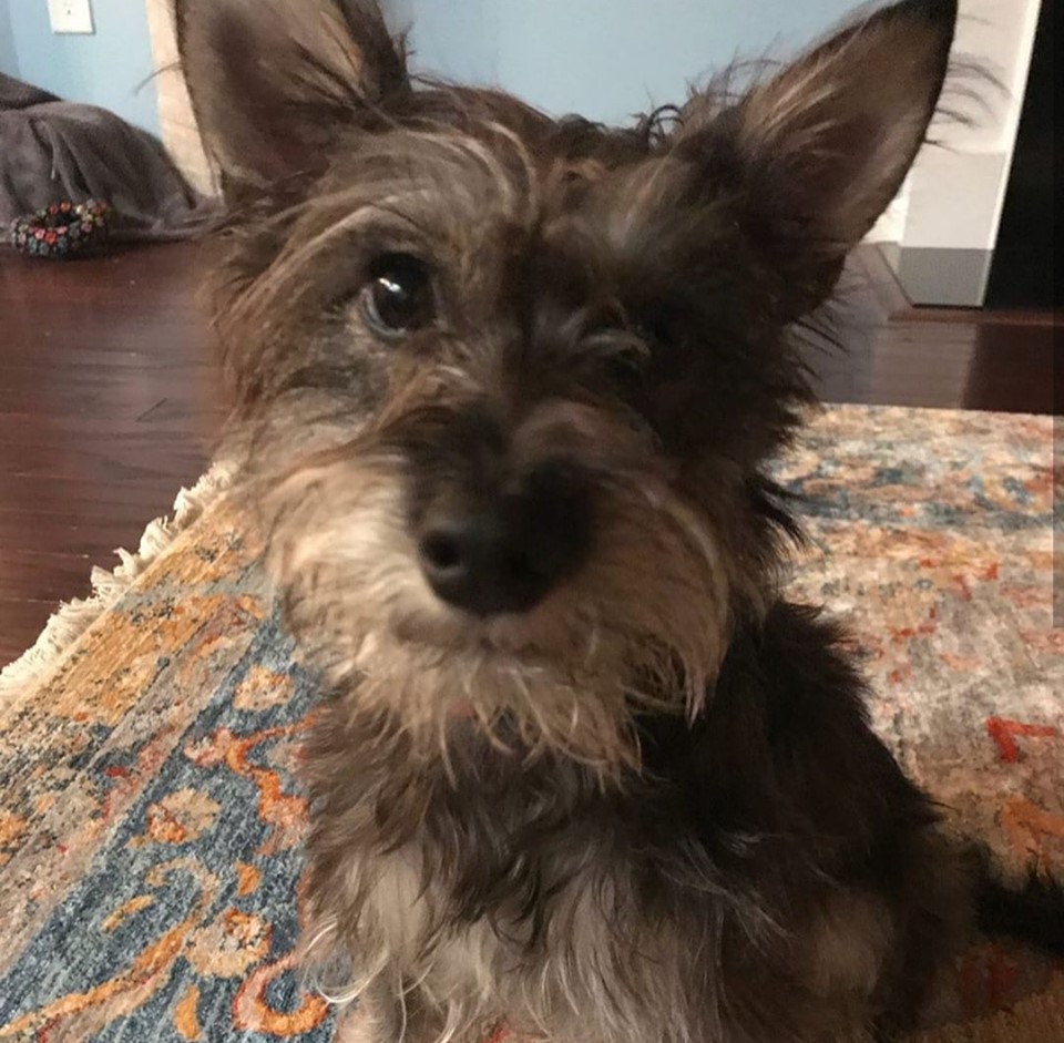 CoCo