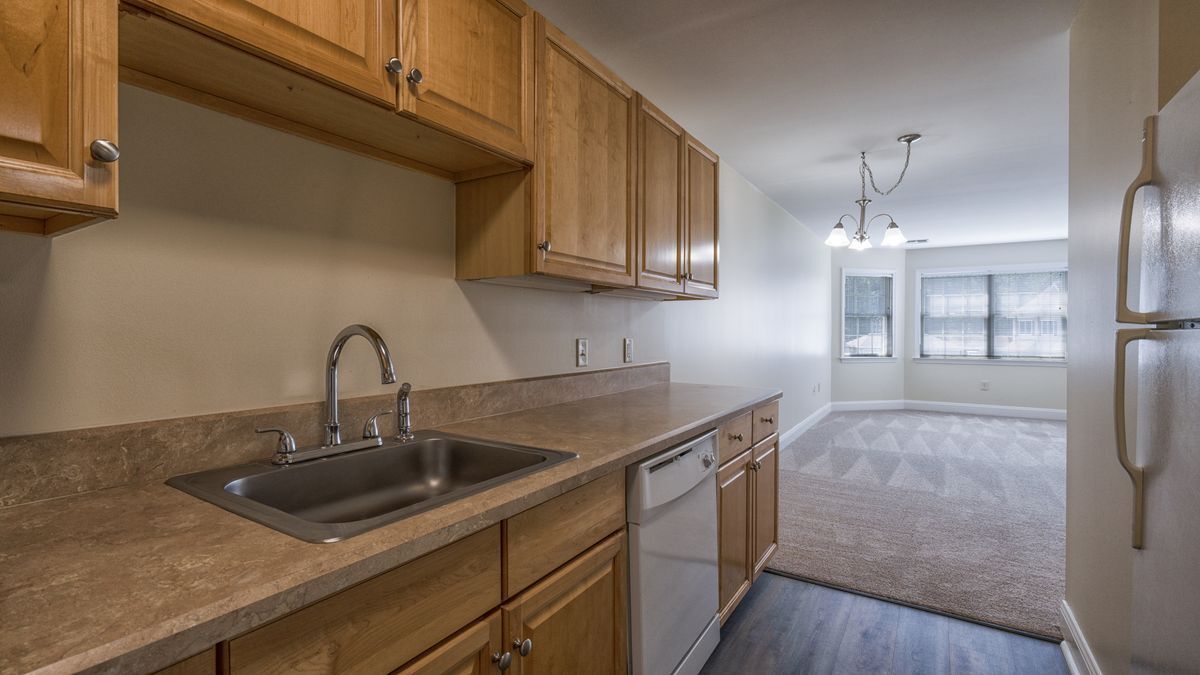 Windham kitchen view 2