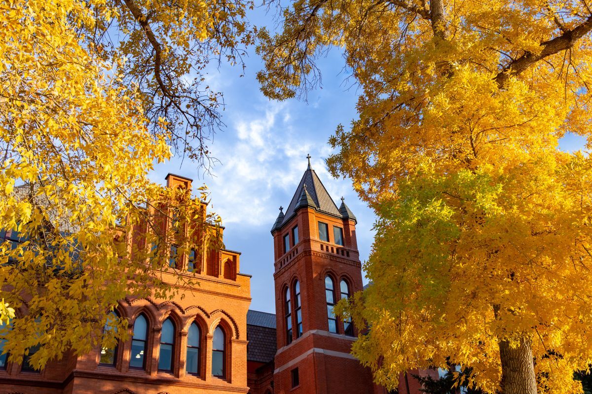 Experience One Campaign What We Do University of Montana Western