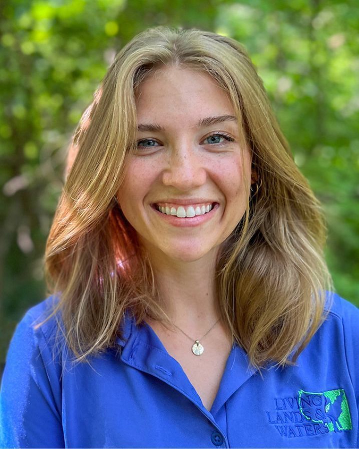 LAUREL STELTER