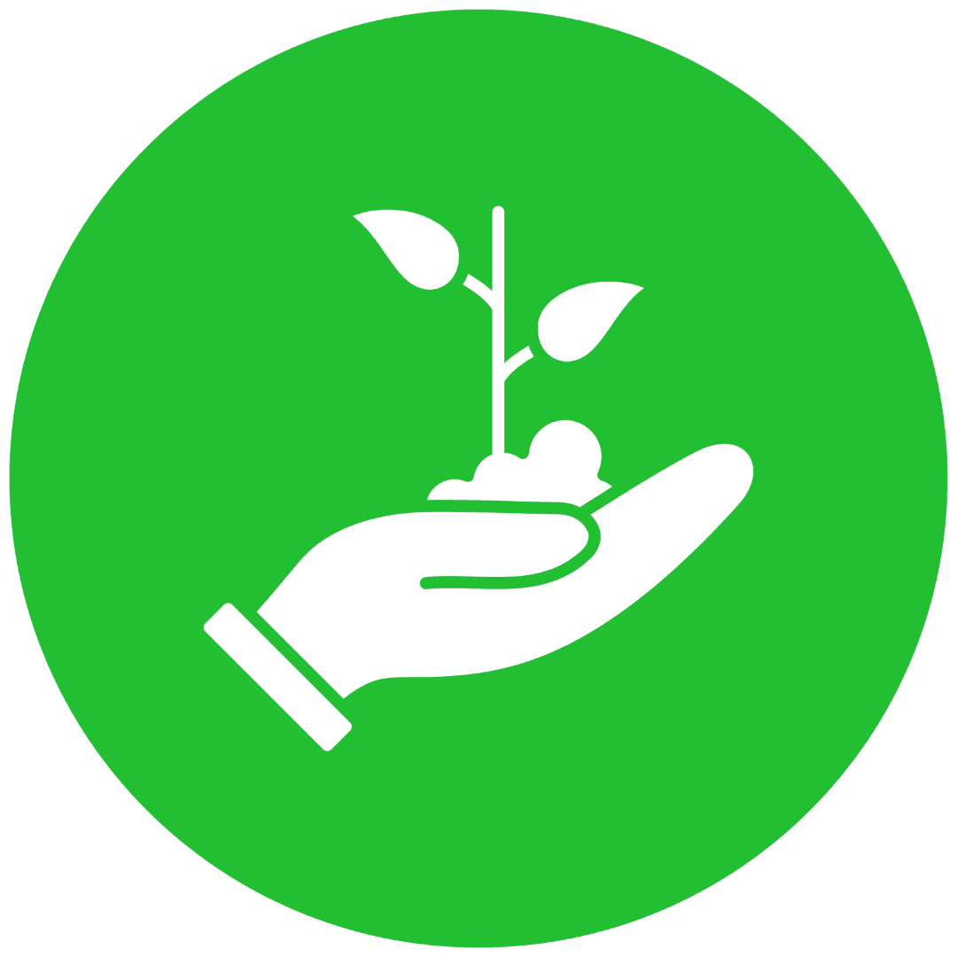Sustainability Professional Development Fund