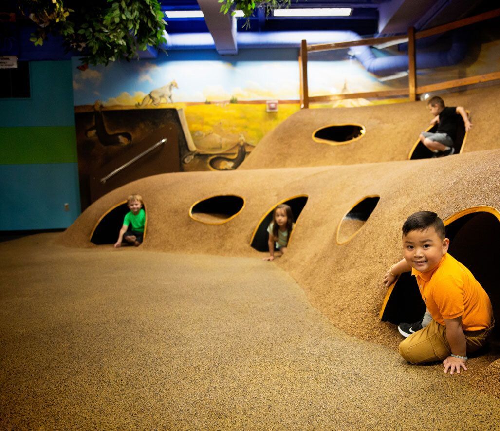Children playing in an indoor playground with a nature-themed design featuring a large, brown, textured play structure with tunnel openings.