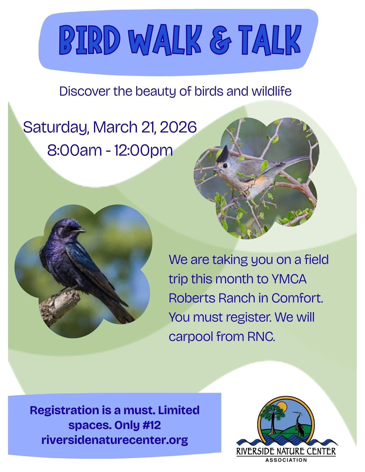 Bird Watching near me, Riverside Nature Center, Texas Master Naturalist, Kerrville, Nature lover, education about birds