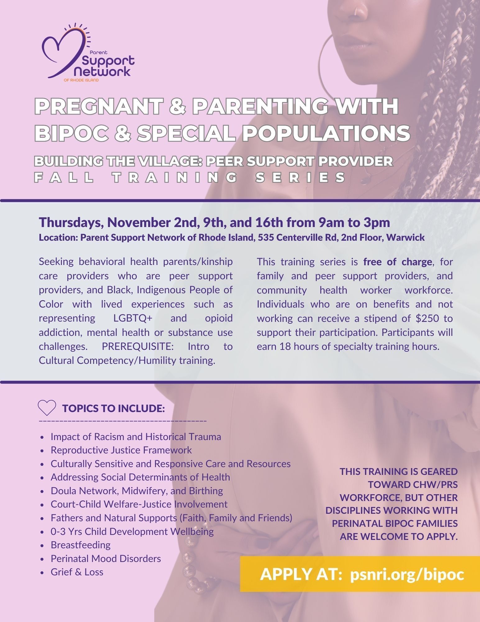 BIPOC Peer Workforce Pregnant & Parenting Training