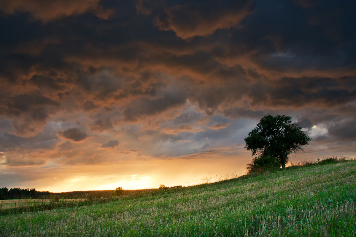 Hope After the Storm