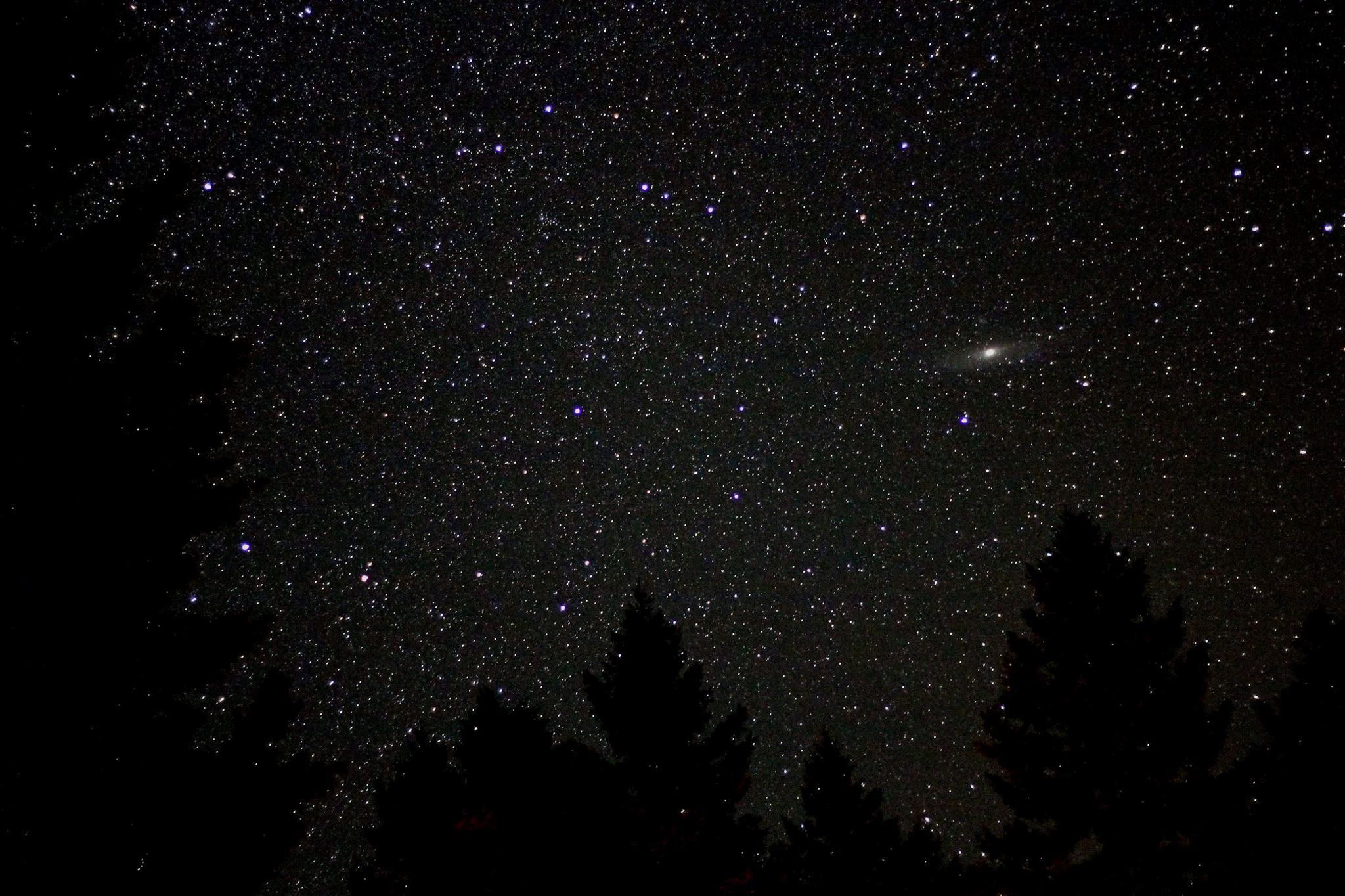 Moonlight Snowshoe Stroll with Planetarium Extravaganza!