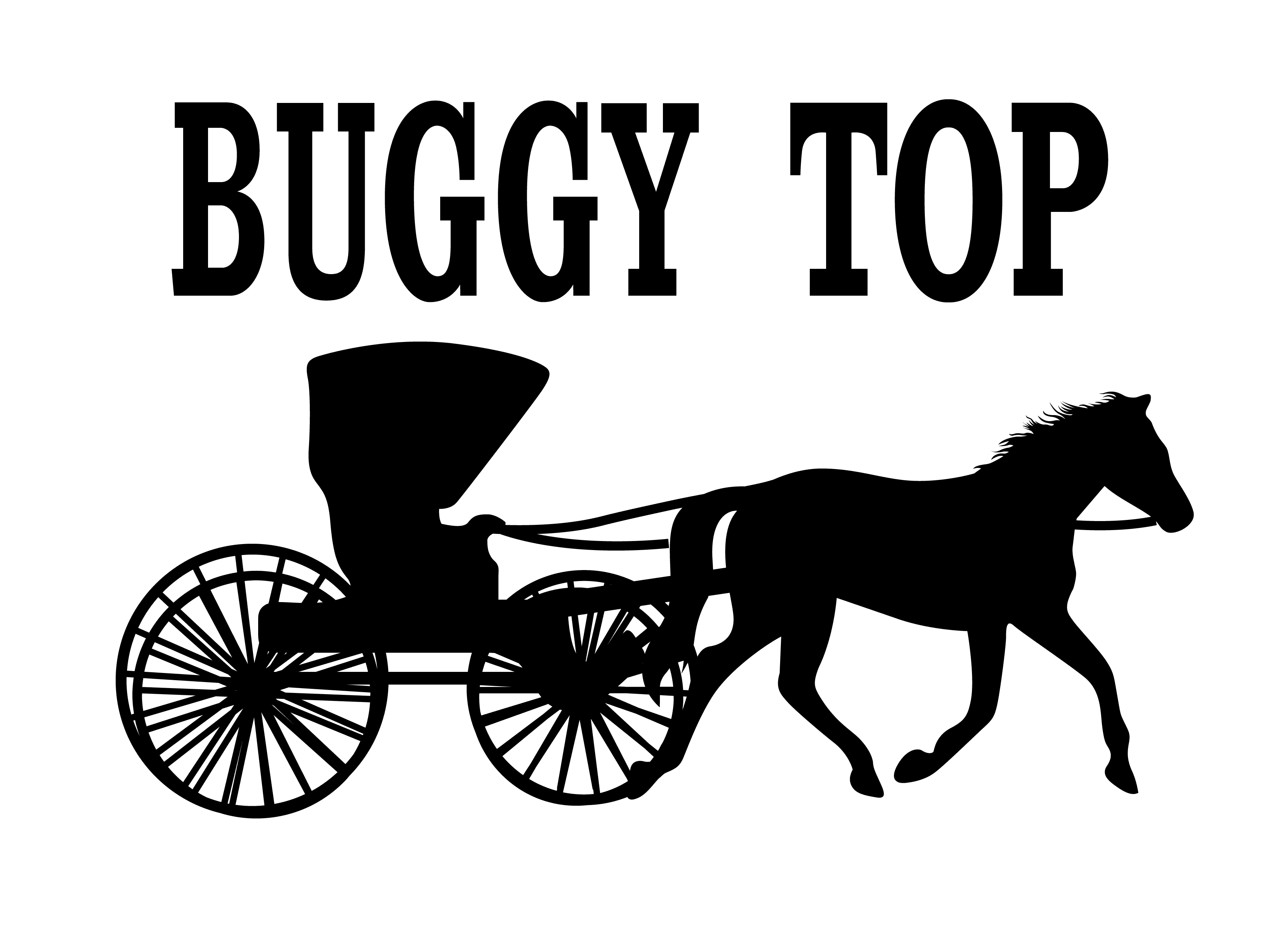 Buggy Top