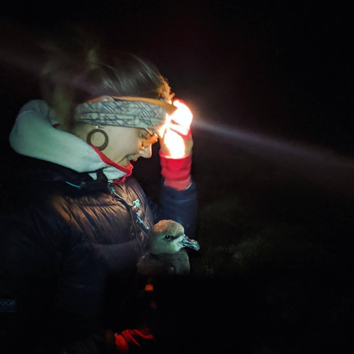 Picture of presenter Megan Friesen wearing a headlamp and holding a bird in her arms.