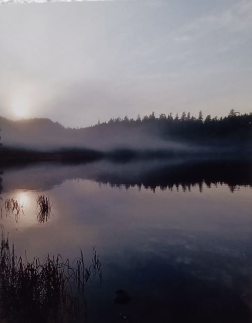 "Sun, Fog, Lake" - Shannon Chamberlain