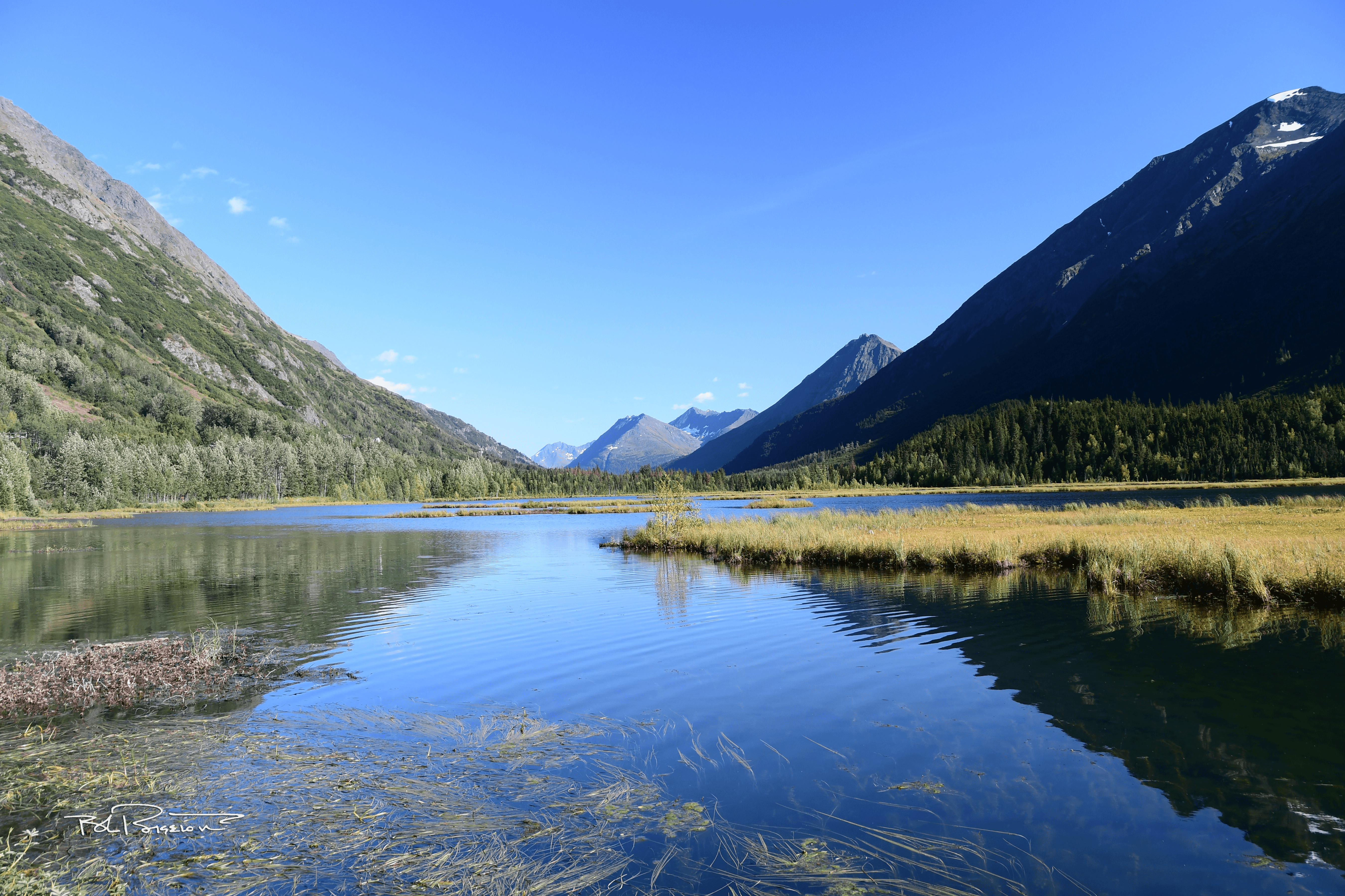 Tern Lake