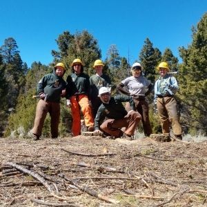 Conifer Removal in Butte