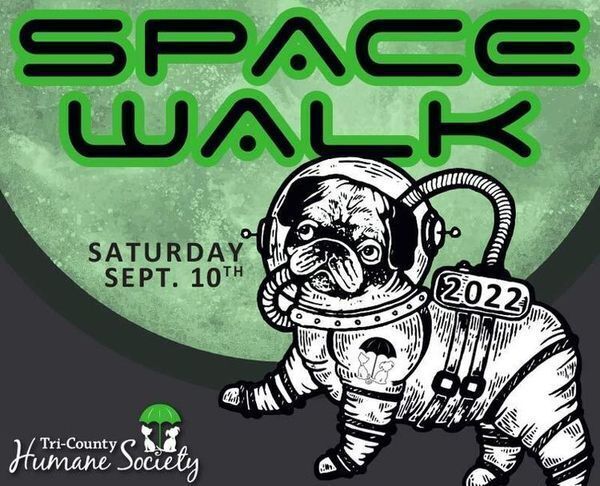 Get Ready to Space Walk For Homeless Animals!