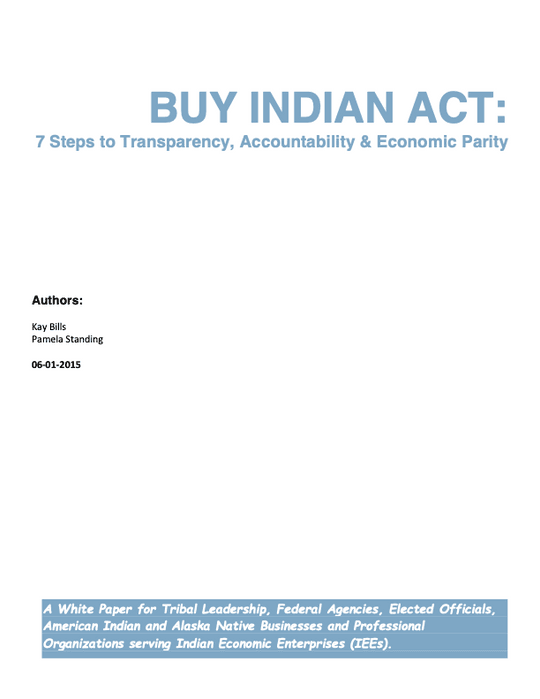 Buy Indian Act White Paper: 7 Steps to Transparency, Accountability & Economic Parity