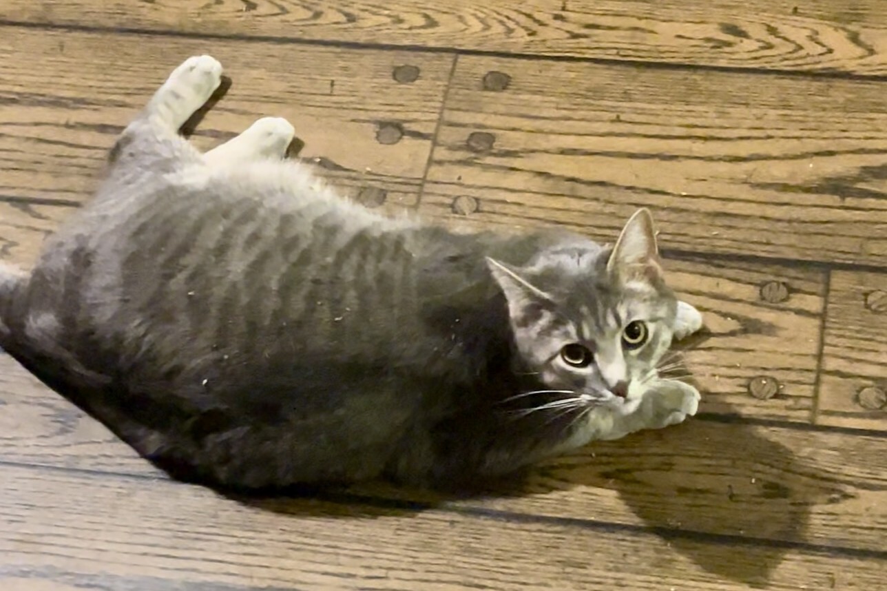 Maggie